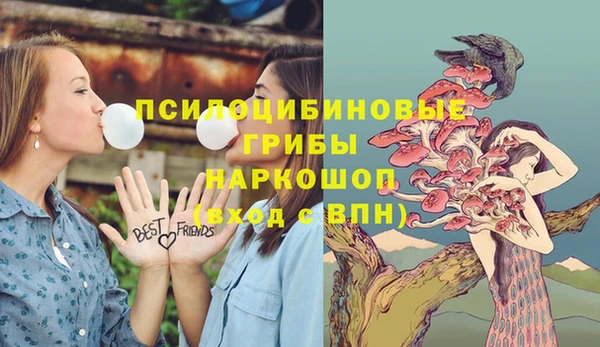 эйфоретик Алзамай