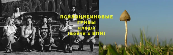 эйфоретик Алзамай