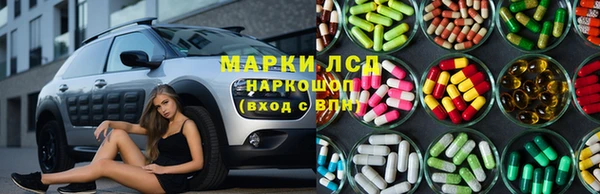 эйфоретик Алзамай
