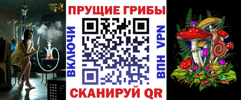 купить закладку  Куса  Псилоцибиновые грибы Magic Shrooms 